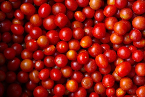 10 conseils de base en matière de cuisine